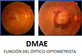 DMAE Funciondel Optico